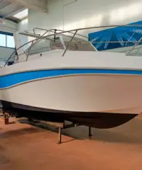 Faeton 730 Sport + Mercruiser 4.5mpi V6 250cv Faeton 730 Sport + Mercruiser 4.5mpi V6 250cv