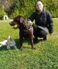 Cerco relazione seria Cerco relazione seria