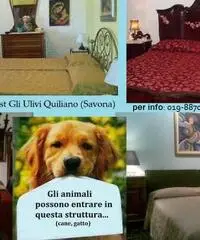 Bamp;B affitta camere vicino al mare e a Savona Bamp;B affitta camere vicino al mare e a Savona