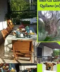 Bamp;B affitta camere vicino al mare e a Savona Bamp;B affitta camere vicino al mare e a Savona