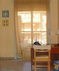 Affittasi posti letto/singole Affittasi posti letto/singole