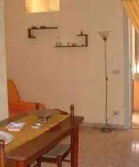 Affittasi posti letto/singole Affittasi posti letto/singole