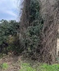 Rustico indipendente con stalla antica e giardino a Fontevivo