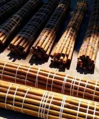 Canne di bambù bambu con diametro da 1 cm. fino a 10 cm.