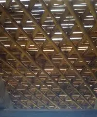 Canne di bambù bambu con diametro da 1 cm. fino a 10 cm.