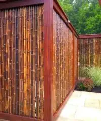 Canne di bambù bambu con diametro da 1 cm. fino a 10 cm.