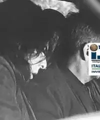 Investigatore Privato Torino – IDS Investigazioni H24: +39 334 109 8423