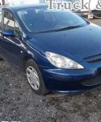 PEUGEOT 307 - AUTOVETTURA 2002 - Puglia