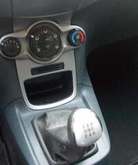 Ford Fiesta 1.4 gpl - Cuneo
