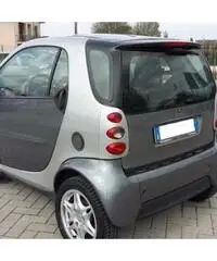 Smart passion - Lucca