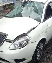 Lancia Ypsilon Diva 1.2 gpl SINISTRATA MARCIANTE - Napoli Lancia Ypsilon Diva 1.2 gpl SINISTRATA MARCIANTE - Napoli
