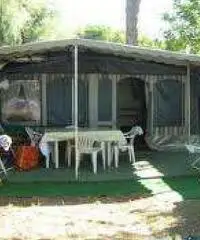 Roulotte - Bungalow a Marina di Massa Roulotte - Bungalow a Marina di Massa