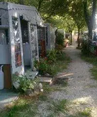 Roulotte - Bungalow a Marina di Massa Roulotte - Bungalow a Marina di Massa