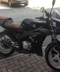 Aprilia Tuono 50cc. Aprilia Tuono 50cc.