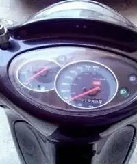 Scarabeo 50
