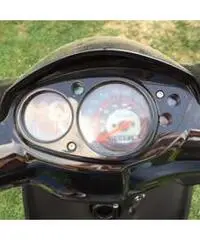 Typhoon Piaggio - 2013