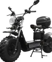 Bicicletta elettrica MOTOR BIKE Daymak mod. beast basic