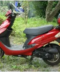 Scooter Motom 2010, quasi nuovo. Scooter Motom 2010, quasi nuovo.