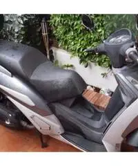 Peugeot geopolis 250 Peugeot geopolis 250