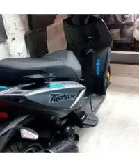 Occasione piaggio