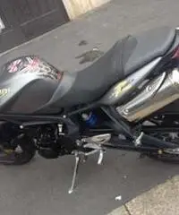 TRIUMPH STREET TRIPLE TRIUMPH STREET TRIPLE
