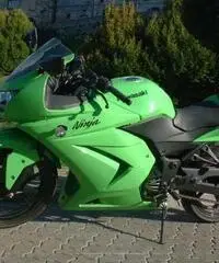 Ninja 250