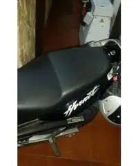 HORNET 600