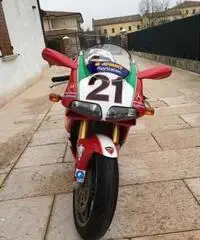 DUCATI 998 S TROY BAYLIS