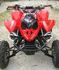 Quad polaris outlaw irs 525