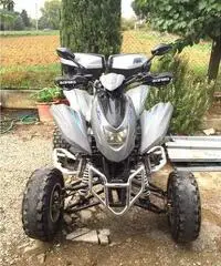 QUAD DINLI 450 QUAD DINLI 450