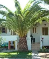 Appartamento vacanze estate in puglia Appartamento vacanze estate in puglia