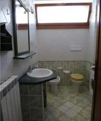 Trilocale a Piombino (LI), Salivoli, zona ospedale, da priva Trilocale a Piombino (LI), Salivoli, zona ospedale, da priva