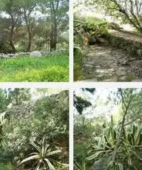 Torre Vado - San Gregorio, Trulli panoramici, Patu',Le Torre Vado - San Gregorio, Trulli panoramici, Patu',Le