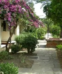 Vacanze in Sicilia - baia del Tindari/Oliveri (ME) Vacanze in Sicilia - baia del Tindari/Oliveri (ME)