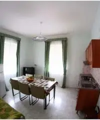 Tortora, case vacanze a 50 metri dal mare Tortora, case vacanze a 50 metri dal mare