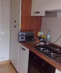 Vacanze al mare di Sabuaudia Vacanze al mare di Sabuaudia