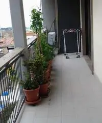 Vacanze Roma e Castelli Romani - Lo Cost Vacanze Roma e Castelli Romani - Lo Cost