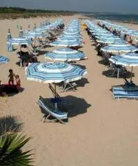 BLUE BAY RESOR