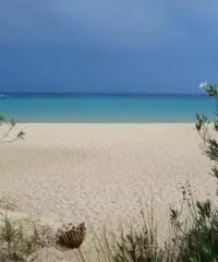 Monolocale a 50 metri spiaggia Monolocale a 50 metri spiaggia