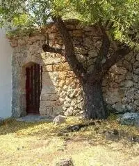 Con giardino e parcheggio privato, 700 mt dal mare Con giardino e parcheggio privato, 700 mt dal mare