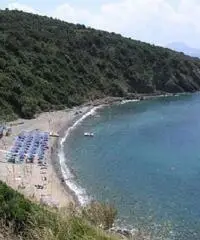 Appartamento Piombino-Last minute Luglio/Agosto Appartamento Piombino-Last minute Luglio/Agosto