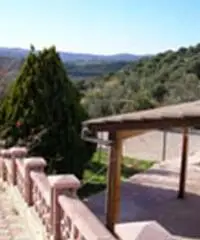 Vieste Appartamento bilocale 9-16 luglio Last minute