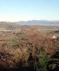 Un bel paesino nel cuore della Toscana, vicino al Mar Tirren Un bel paesino nel cuore della Toscana, vicino al Mar Tirren