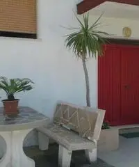 Last minute: Vacanze Paestum 2016 a 150 m dal mare Last minute: Vacanze Paestum 2016 a 150 m dal mare