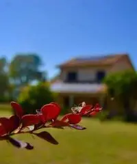 Giugno e settembre in villa vicina al mare