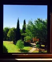 Giugno e settembre in villa vicina al mare Giugno e settembre in villa vicina al mare