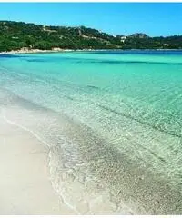 Volo Verona Olbia a/r per 2 persone dal 19 al 26 agosto Volo Verona Olbia a/r per 2 persone dal 19 al 26 agosto