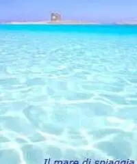 Offerta viaggio sardegna last minute Offerta viaggio sardegna last minute