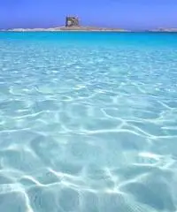 Offerta viaggio sardegna last minute Offerta viaggio sardegna last minute