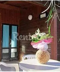 Last minute agosto villetta Last minute agosto villetta